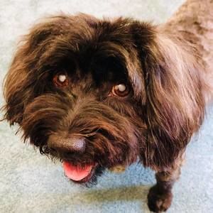 Meet your Posher, Eric